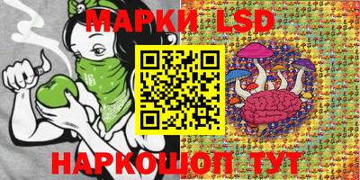тгк Дубна