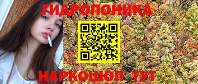 тгк Дубна