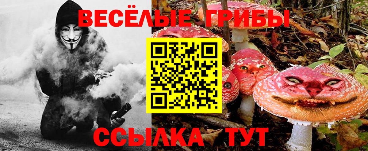 Галлюциногенные грибы мицелий Новороссийск