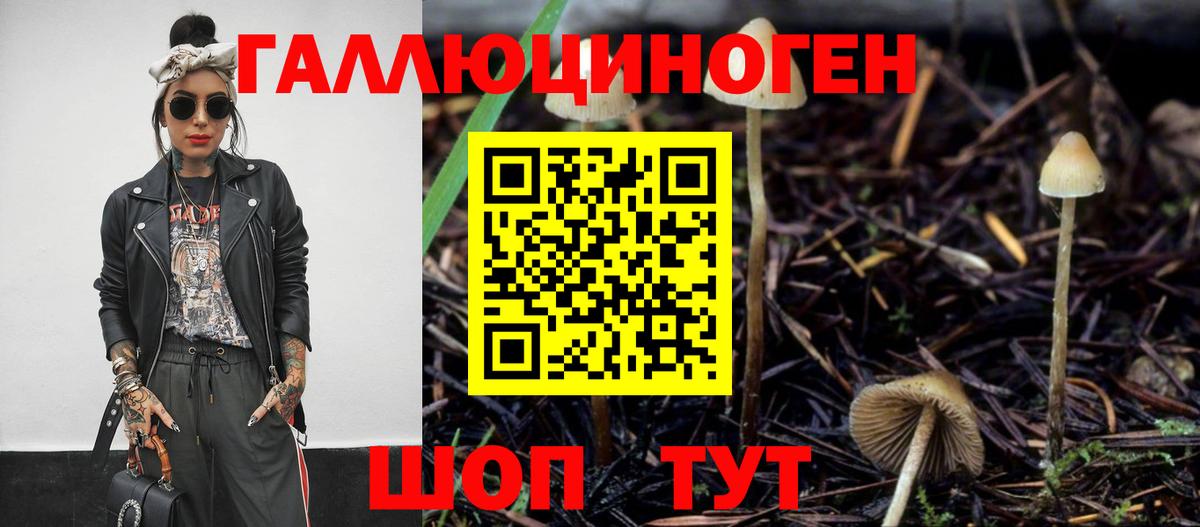Новороссийск  Псилоцибиновые грибы Psilocybe  Вход с VPN 