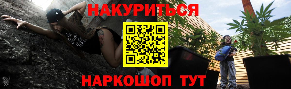Канабис конопля Новороссийск